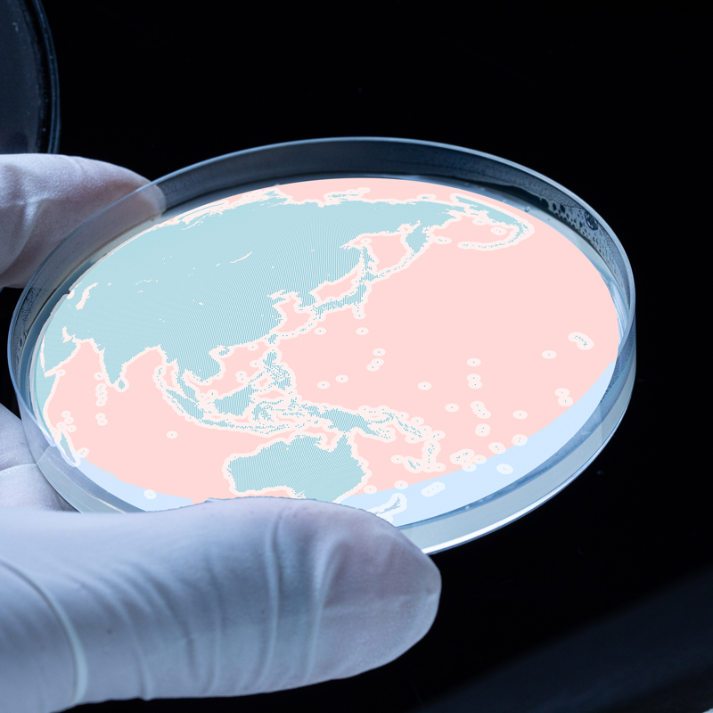 A close-up of a gloved hand holding a petri dish with the figures of Australia and SE Asia exposed