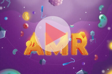 AMR video hold screen