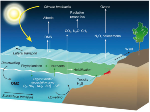 Importance of Nutrients – International Nutrient Inter-comparison Voyage