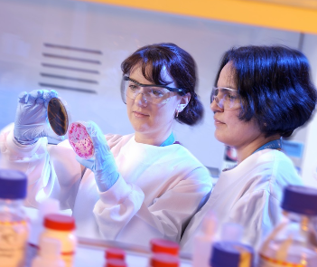 2 female/women researchers and PhD students in the lab environment