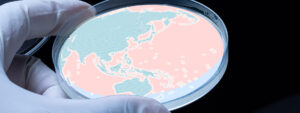 Agar plate